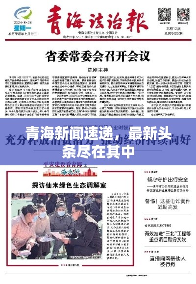 青海新聞速遞，最新頭條盡在其中