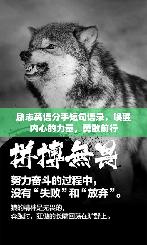 勵志英語分手短句語錄，喚醒內(nèi)心的力量，勇敢前行