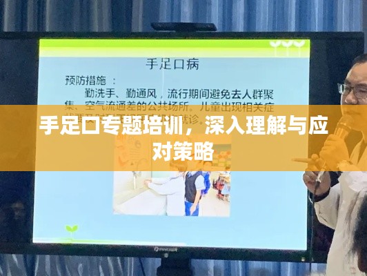 手足口專題培訓(xùn)，深入理解與應(yīng)對策略