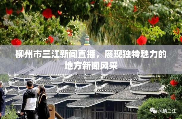 柳州市三江新聞直播，展現(xiàn)獨(dú)特魅力的地方新聞風(fēng)采