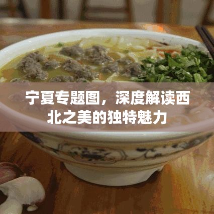 寧夏專題圖，深度解讀西北之美的獨(dú)特魅力