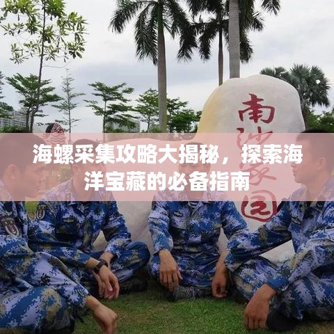 海螺采集攻略大揭秘，探索海洋寶藏的必備指南