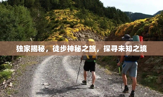 獨(dú)家揭秘，徒步神秘之旅，探尋未知之境
