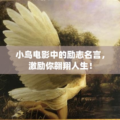 小鳥(niǎo)電影中的勵(lì)志名言，激勵(lì)你翱翔人生！