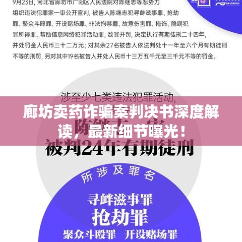 廊坊賣藥詐騙案判決書(shū)深度解讀，最新細(xì)節(jié)曝光！