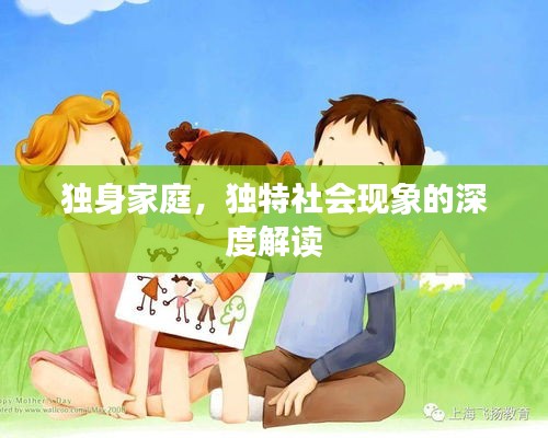 獨身家庭，獨特社會現(xiàn)象的深度解讀