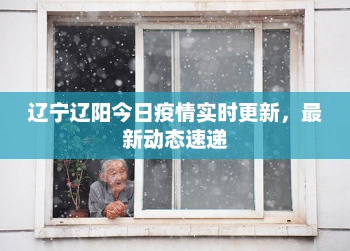 遼寧遼陽今日疫情實時更新，最新動態(tài)速遞