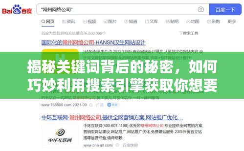 揭秘關(guān)鍵詞背后的秘密，如何巧妙利用搜索引擎獲取你想要的信息
