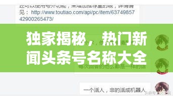 獨家揭秘，熱門新聞頭條號名稱大全，一網(wǎng)打盡！
