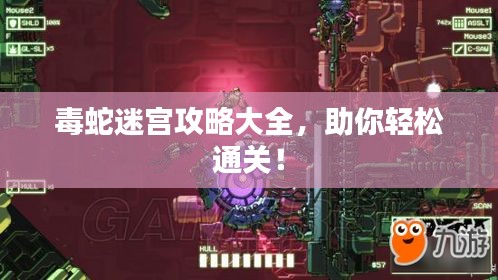 毒蛇迷宮攻略大全，助你輕松通關！