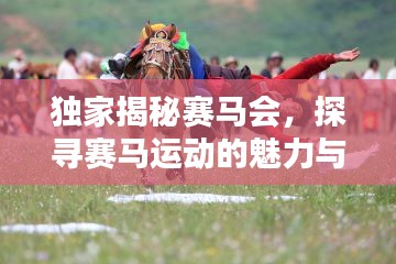 獨家揭秘賽馬會，探尋賽馬運動的魅力與面臨的挑戰(zhàn)