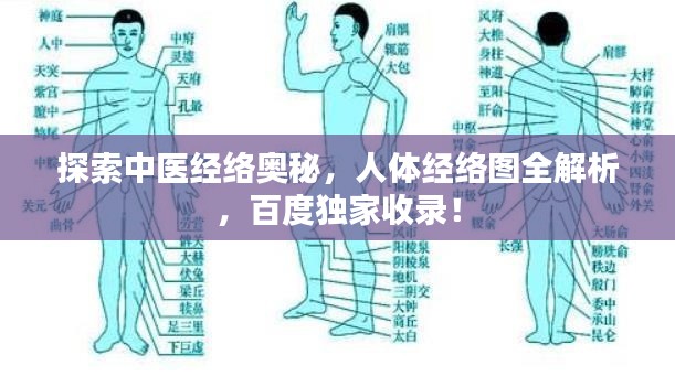 探索中醫(yī)經(jīng)絡(luò)奧秘，人體經(jīng)絡(luò)圖全解析，百度獨家收錄！