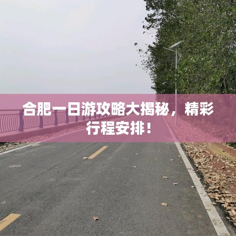 合肥一日游攻略大揭秘，精彩行程安排！