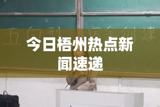 今日梧州熱點新聞速遞