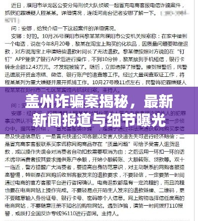 蓋州詐騙案揭秘，最新新聞報道與細節(jié)曝光