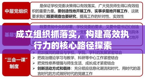 成立組織抓落實，構(gòu)建高效執(zhí)行力的核心路徑探索