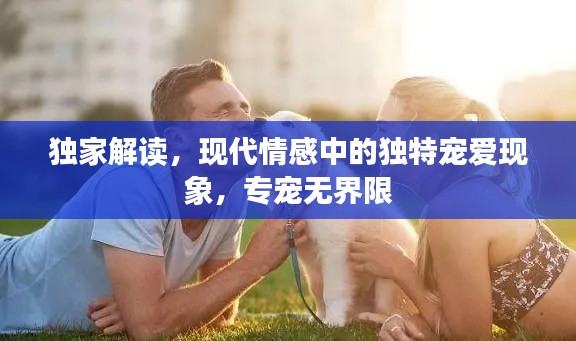 獨家解讀，現(xiàn)代情感中的獨特寵愛現(xiàn)象，專寵無界限
