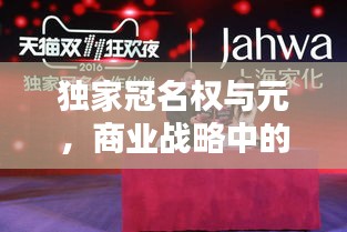 獨家冠名權(quán)與元，商業(yè)戰(zhàn)略中的核心要素揭秘