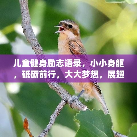 兒童健身勵(lì)志語(yǔ)錄，小小身軀，砥礪前行，大大夢(mèng)想，展翅飛翔