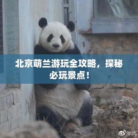北京萌蘭游玩全攻略，探秘必玩景點！