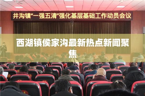 西湖鎮(zhèn)侯家溝最新熱點新聞聚焦