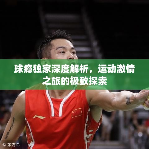 球癮獨(dú)家深度解析，運(yùn)動激情之旅的極致探索