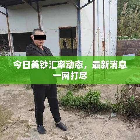 今日美鈔匯率動(dòng)態(tài)，最新消息一網(wǎng)打盡