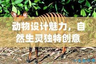 動物設(shè)計魅力，自然生靈獨特創(chuàng)意展現(xiàn)