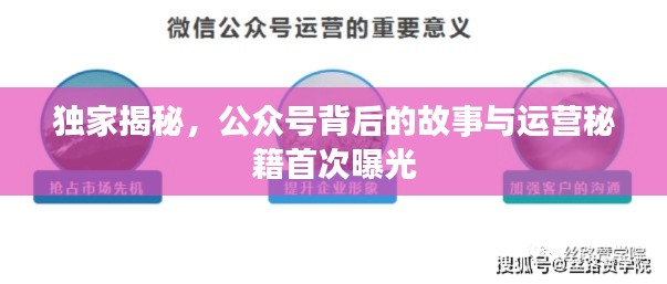 獨家揭秘，公眾號背后的故事與運營秘籍首次曝光
