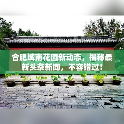 合肥城南花園新動(dòng)態(tài)，揭秘最新頭條新聞，不容錯(cuò)過(guò)！
