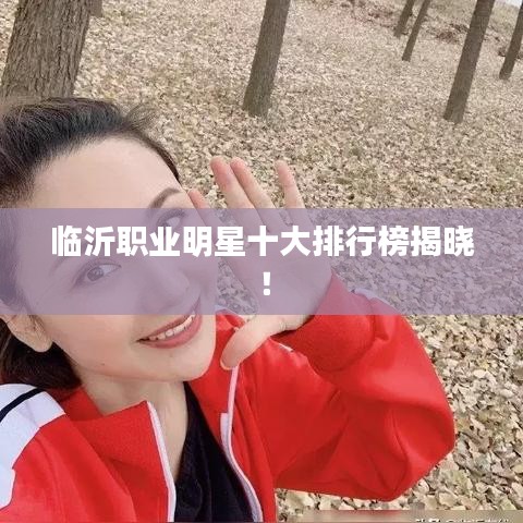 臨沂職業(yè)明星十大排行榜揭曉！
