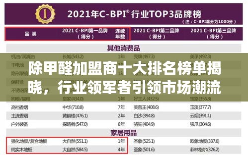 除甲醛加盟商十大排名榜單揭曉，行業(yè)領(lǐng)軍者引領(lǐng)市場潮流
