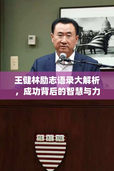 王健林勵(lì)志語(yǔ)錄大解析，成功背后的智慧與力量