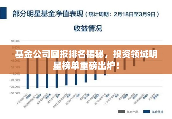 基金公司回報(bào)排名揭秘，投資領(lǐng)域明星榜單重磅出爐！