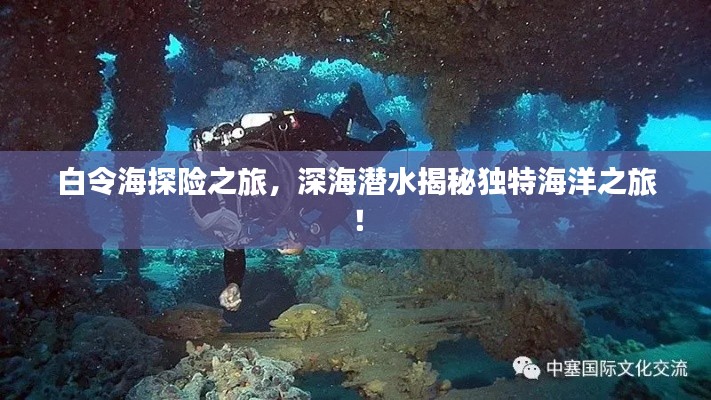 工程案例 第13頁