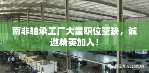南非軸承工廠大量職位空缺，誠(chéng)邀精英加入！