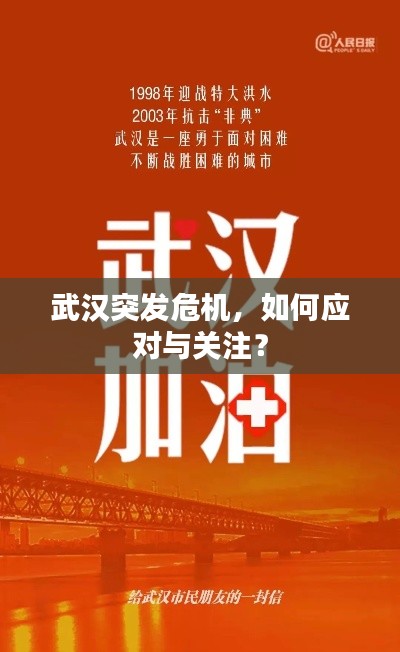 武漢突發(fā)危機(jī)，如何應(yīng)對(duì)與關(guān)注？