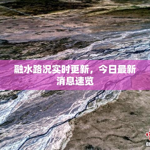 關于我們 第13頁