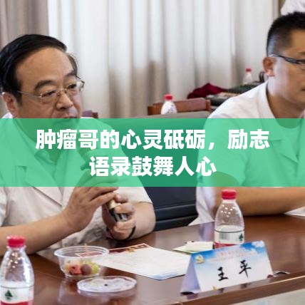 儀表堂堂