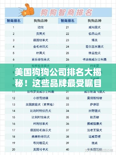 美國狗狗公司排名大揭秘！這些品牌最受矚目！