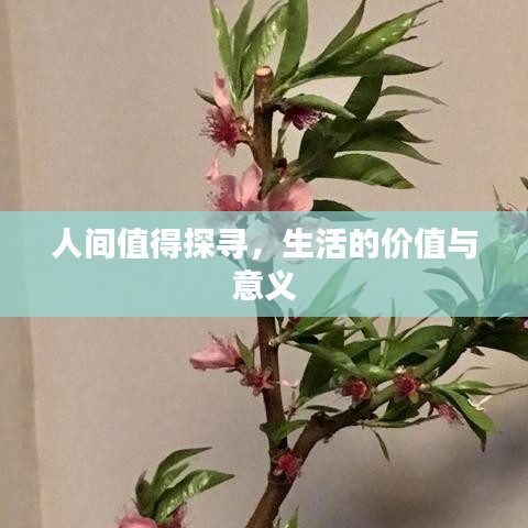 人間值得探尋，生活的價(jià)值與意義