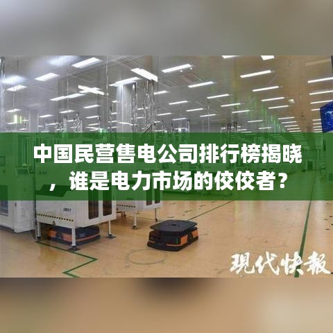 中國(guó)民營(yíng)售電公司排行榜揭曉，誰(shuí)是電力市場(chǎng)的佼佼者？