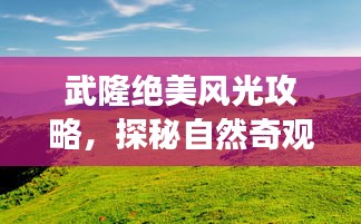 自作主張
