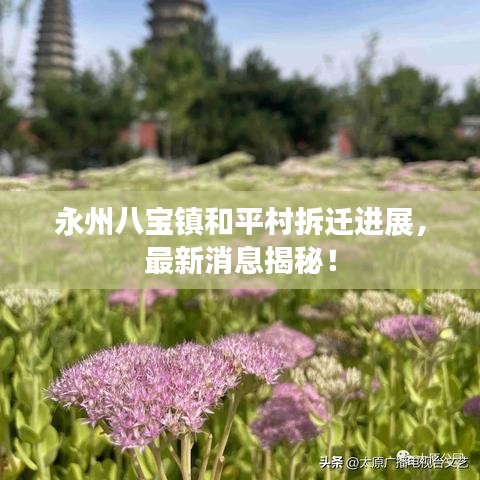 永州八寶鎮(zhèn)和平村拆遷進(jìn)展，最新消息揭秘！