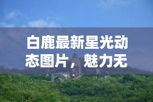 白鹿最新星光動態(tài)圖片，魅力無限，光彩奪目
