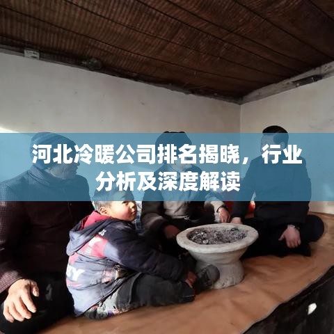河北冷暖公司排名揭曉，行業(yè)分析及深度解讀