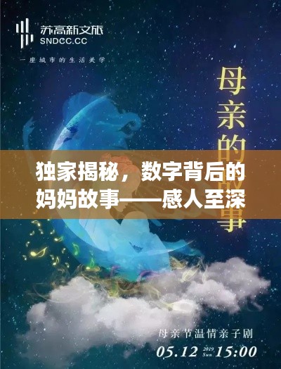 獨家揭秘，數(shù)字背后的媽媽故事——感人至深的母愛之旅