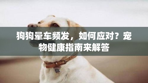 狗狗暈車頻發(fā)，如何應(yīng)對？寵物健康指南來解答