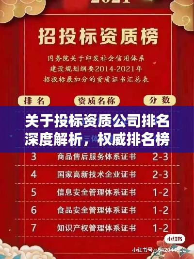 關(guān)于投標(biāo)資質(zhì)公司排名深度解析，權(quán)威排名榜單揭曉