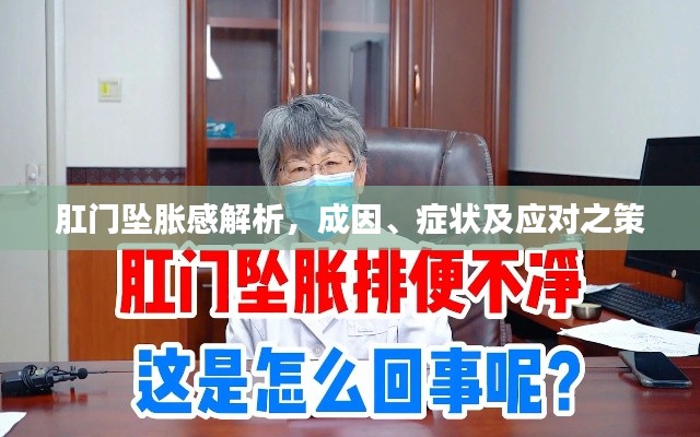 肛門墜脹感解析，成因、癥狀及應(yīng)對(duì)之策